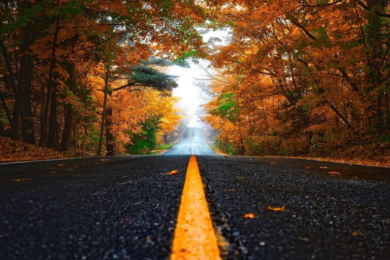autumn, street, leaves-1758194.jpg