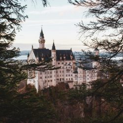 pexels-photo-3526084-3526084-1 Stunning view of Neuschwanstein Castle framed by trees, set in Bavarian landscape.
